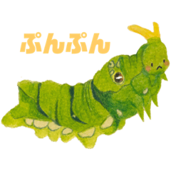 purico_20220404162621