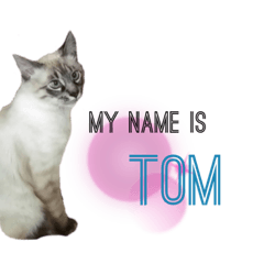 TOMnoSTAMP