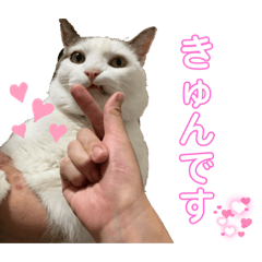 miki_20220405145257