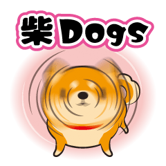 Shiba-dogs