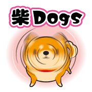 Shiba-dogs