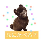 Black pomeranian, JILL's stamp
