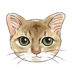 NJ custom stickers- Huggy Lin Cat