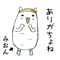 みおん」専用くつした履いたインコねこ - LINE スタンプ | LINE STORE