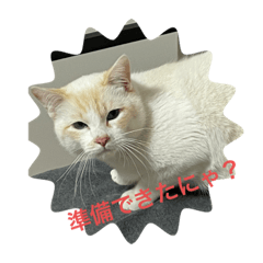 rina_20220405165620