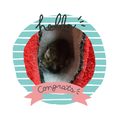 akiko_20220405194822