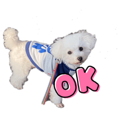 shiho_20220405210516