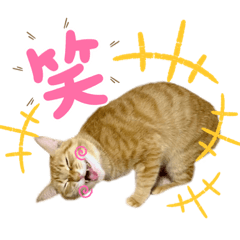 小春＆虎之助.