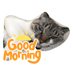 Natsumi_20220406075826