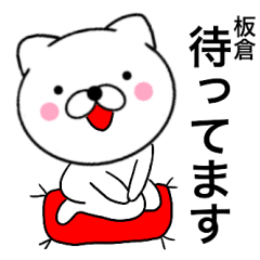 Name cat Itakura