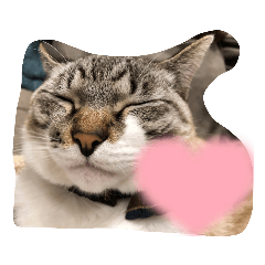 Natsumi_20220406094237