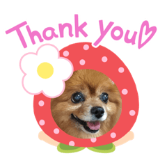 Cherry_20220405171046