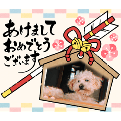 NANAMI_20220406095951