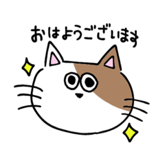jIn_20220405174741