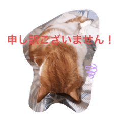 saori_20220405232159