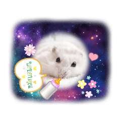 yuto_20220405153103