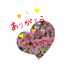 momoko_20220405170415