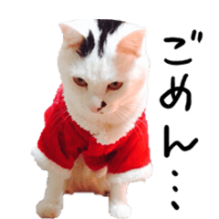Onigiri Stickers Cat