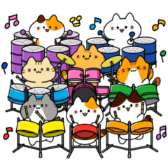 The steelpan cats