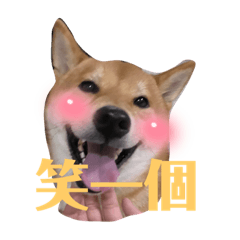 屋低日常