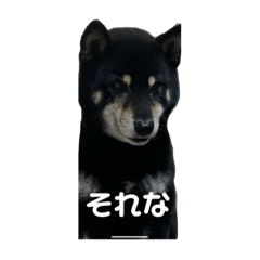 utinokogasekaiitikawaii