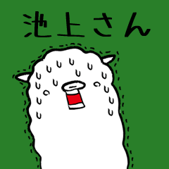 (Only for Mr.Ikegami ) Alpaca