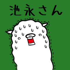 (Only for Mr.Ikenaga ) Alpaca