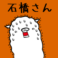 (Only for Mr.Ishibashi) Alpaca