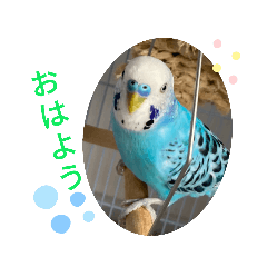 aono_20220406131913