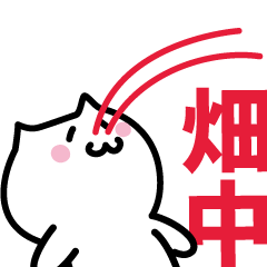 LAST NAME Sticker HATANAKA !!!