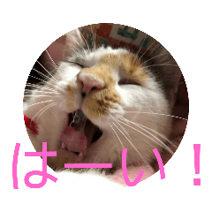 emily_20220405221512