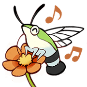 Little Hawkmoths! Little Hawkmoths!