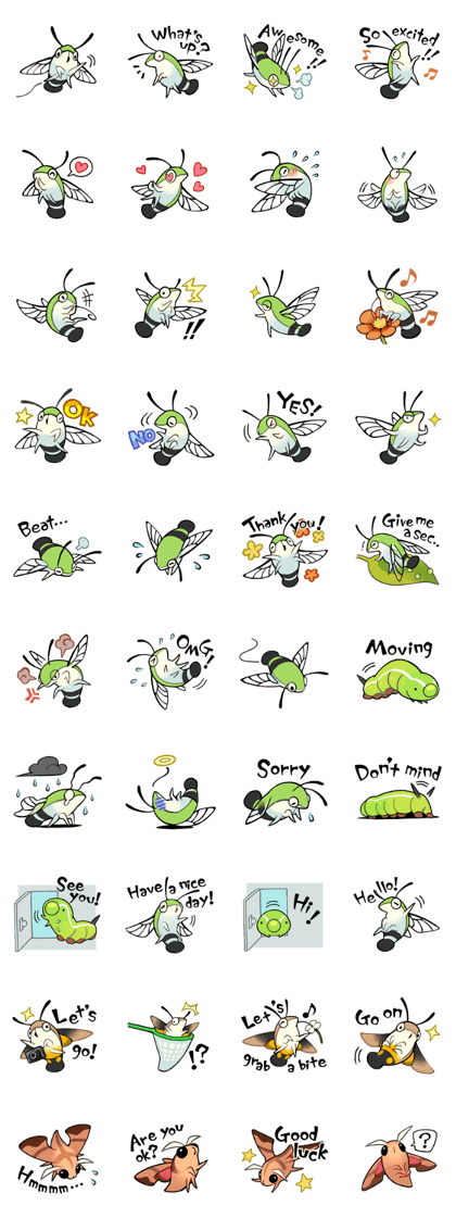 Little Hawkmoths! Little Hawkmoths!