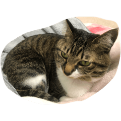 Nanami_20220406124035