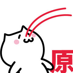 LAST NAME Sticker HARA !!!