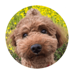 KEIJU_20220406140047