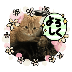 miki_20220406133348