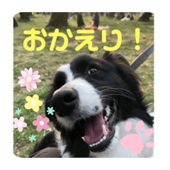 aska_20220406165759