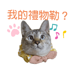 Momo&Kuma的屁孩日常