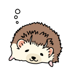 Chi-san the hedgehog