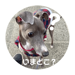 kaito_20220404182111