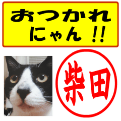 Use your seal No1(For Shibata)