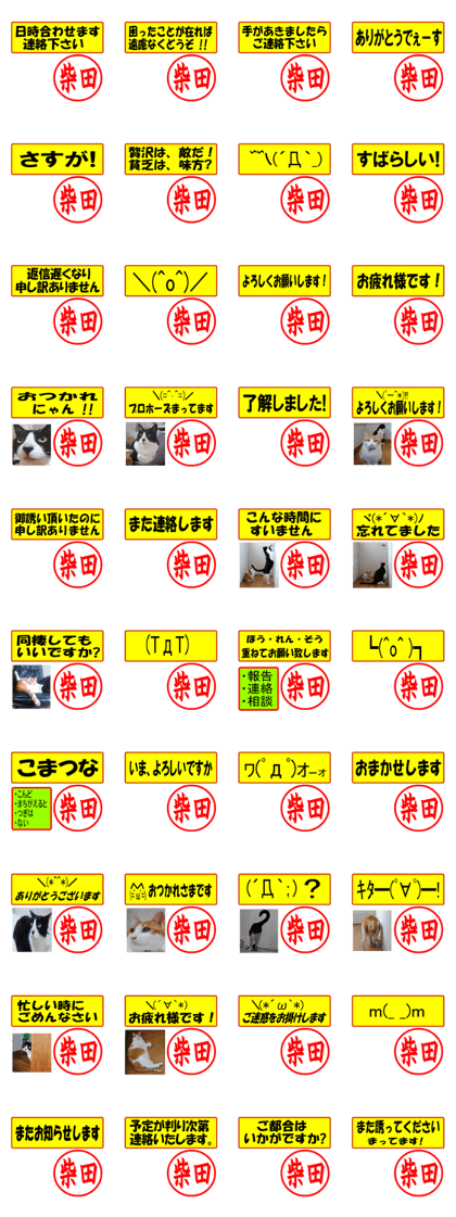 Use your seal No1(For Shibata)