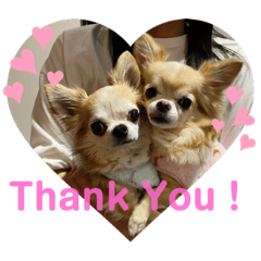 Sticker of Aloha & Kona