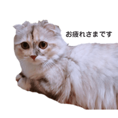 msk_20220407001743