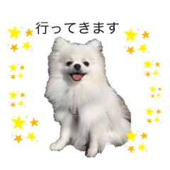 omochi_20220407091224