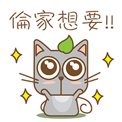 tea cat - daily