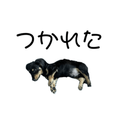 napi_20220406171529