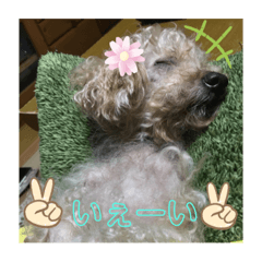 NANAMI_20220407100825