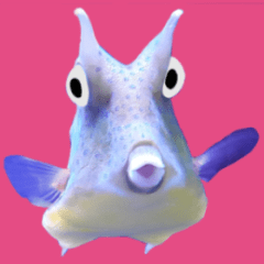 Fish moving.